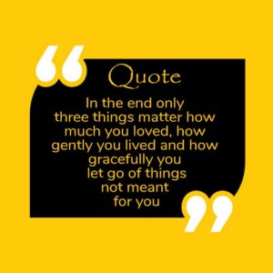 Read more about the article In the end only  three things matter how  much you loved, how  gently you lived and how  gracefully you  let go of things not meant  for you