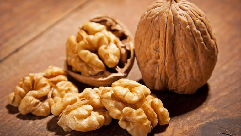 Read more about the article Journey of Walnuts from Babylon to modern cultivation