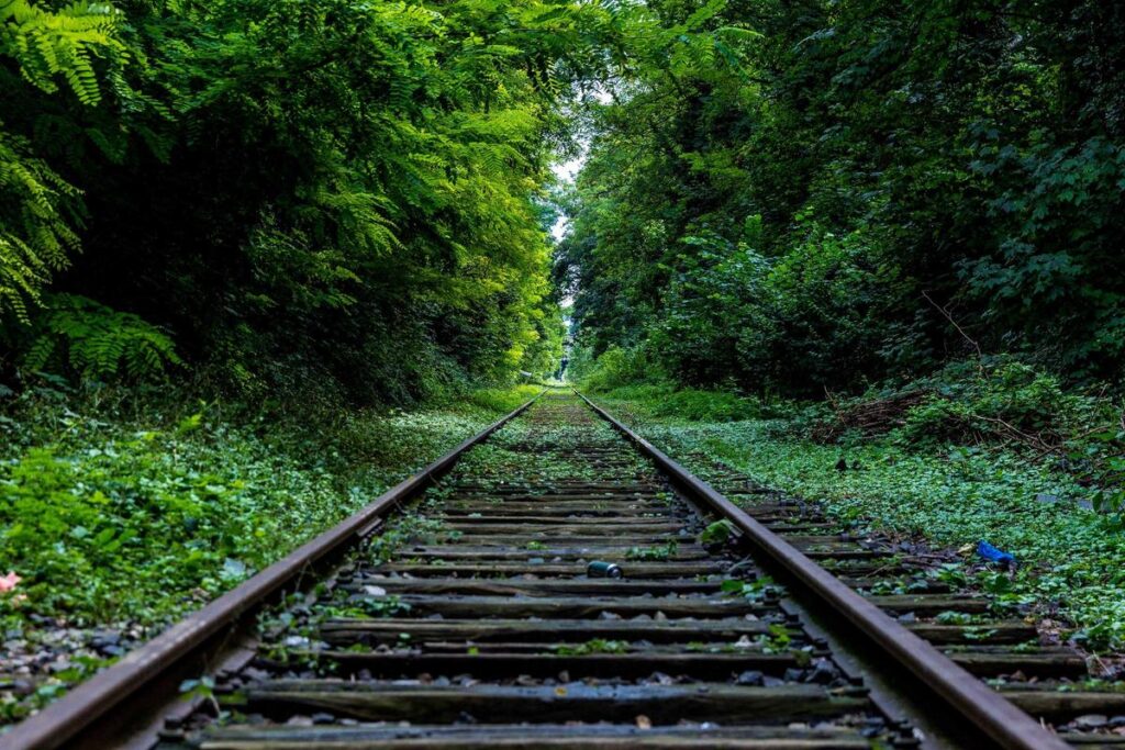 Best Hill Stations Near Delhi for Weekend Trips in 2026