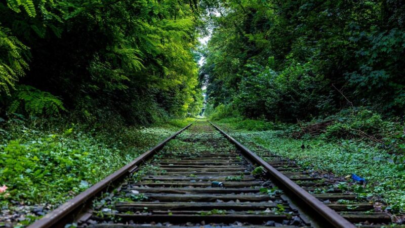 Best Hill Stations Near Delhi for Weekend Trips in 2026