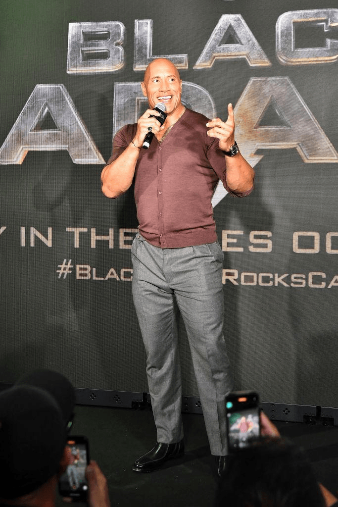 Hollywood action stars popular among Indian audiences